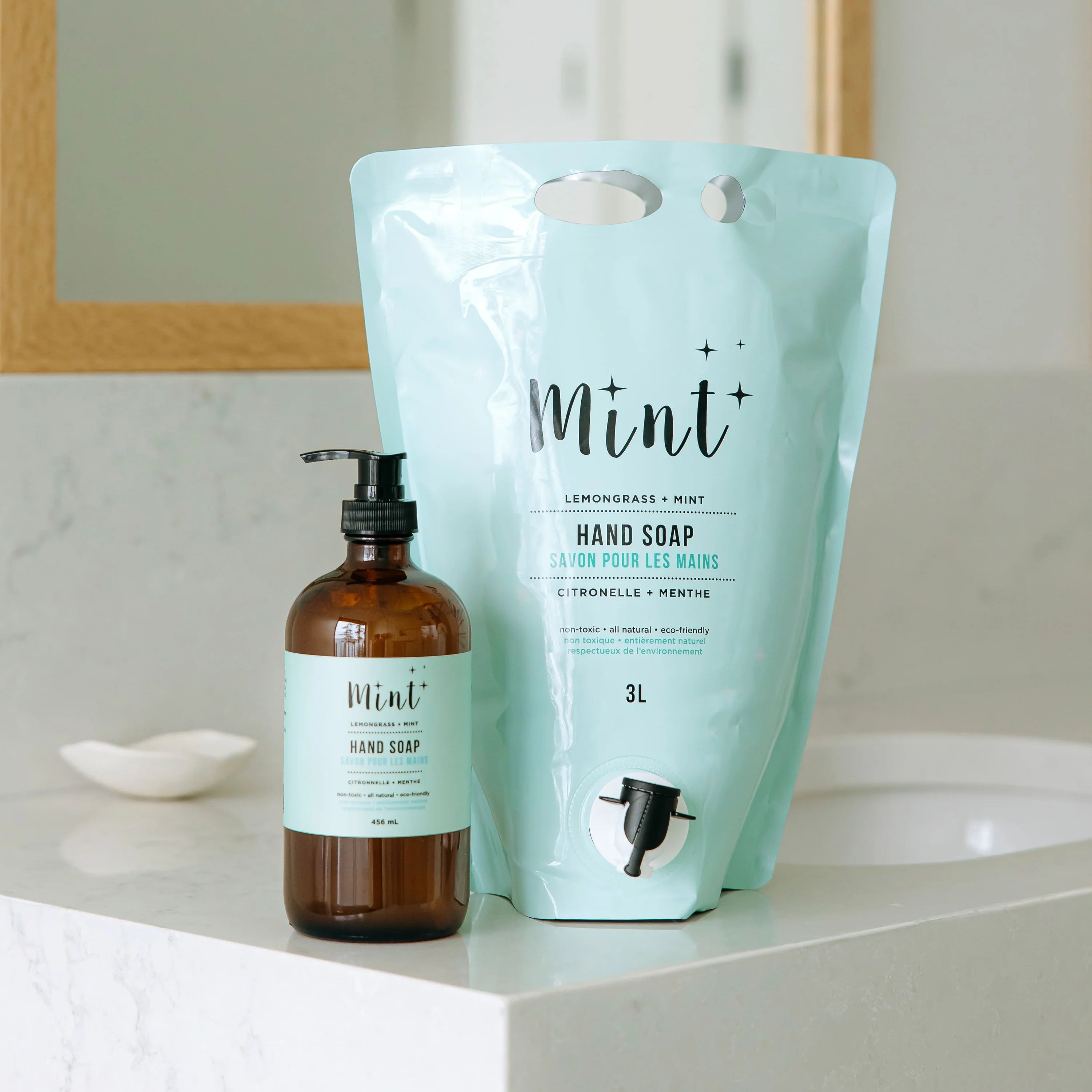 Mint Hand Soap - Party Pouch (Refill)