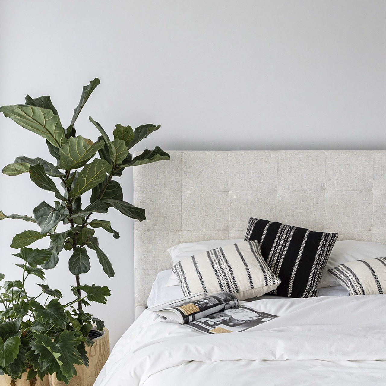 June Queen Bed - Cream - King