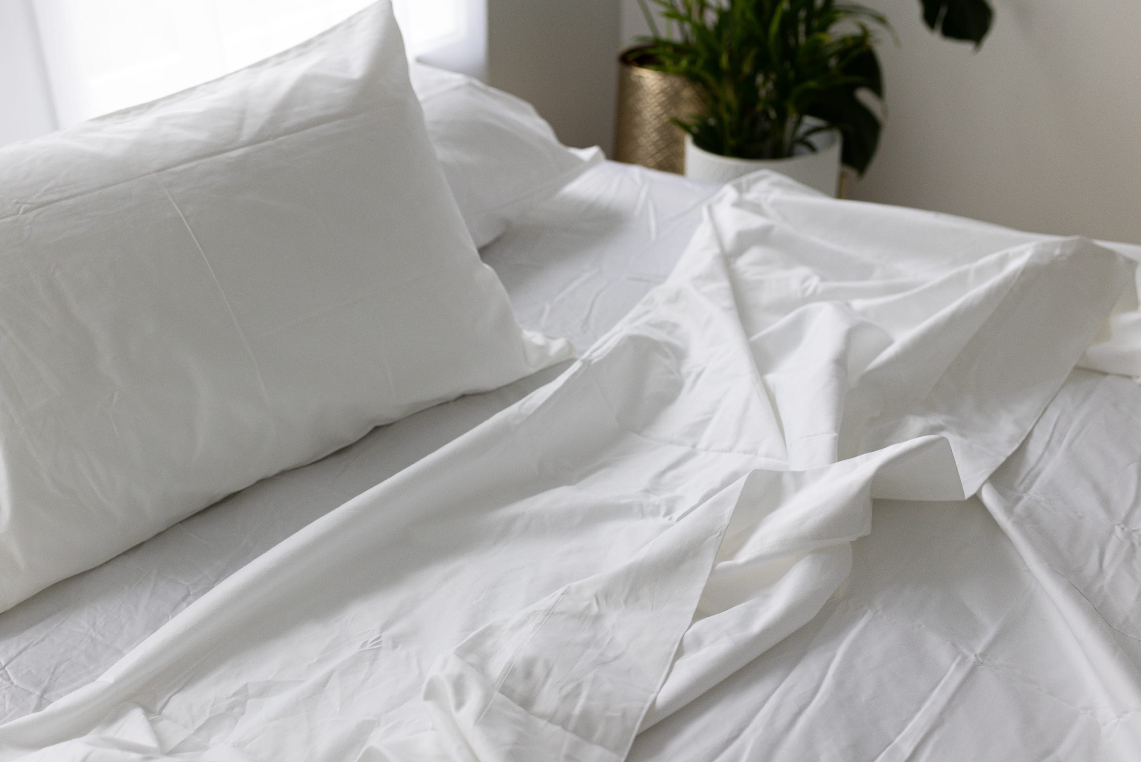 Sheet Set 500TC Cotton – White