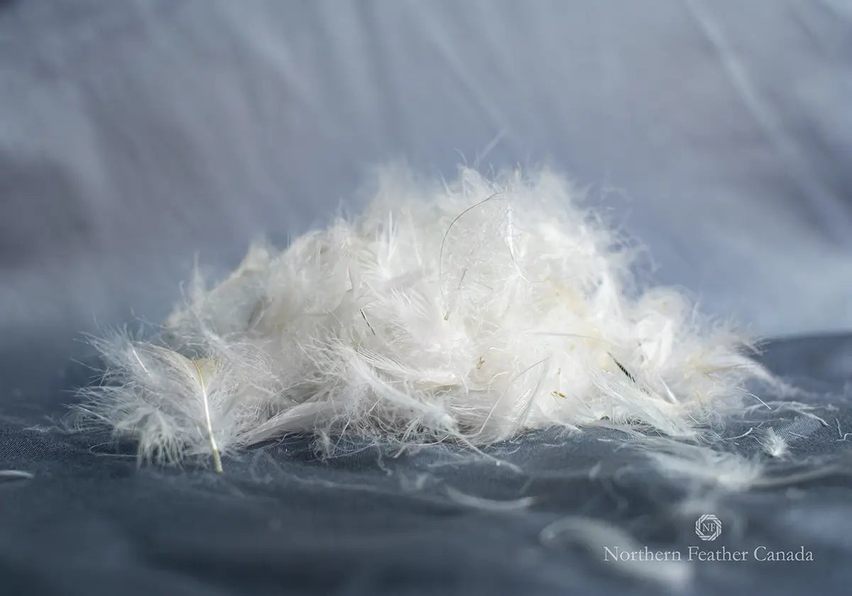 Luksus Essential Pillow fill - 80% small waterfowl feather, 20% white down