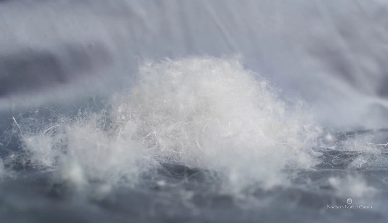 Siberian Country Down Duvet