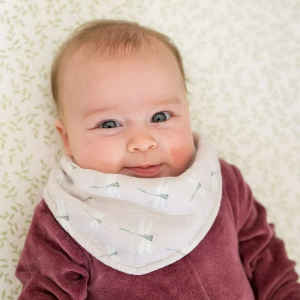 Dragonfly & Vintage Floral - Bandana Baby Bibs