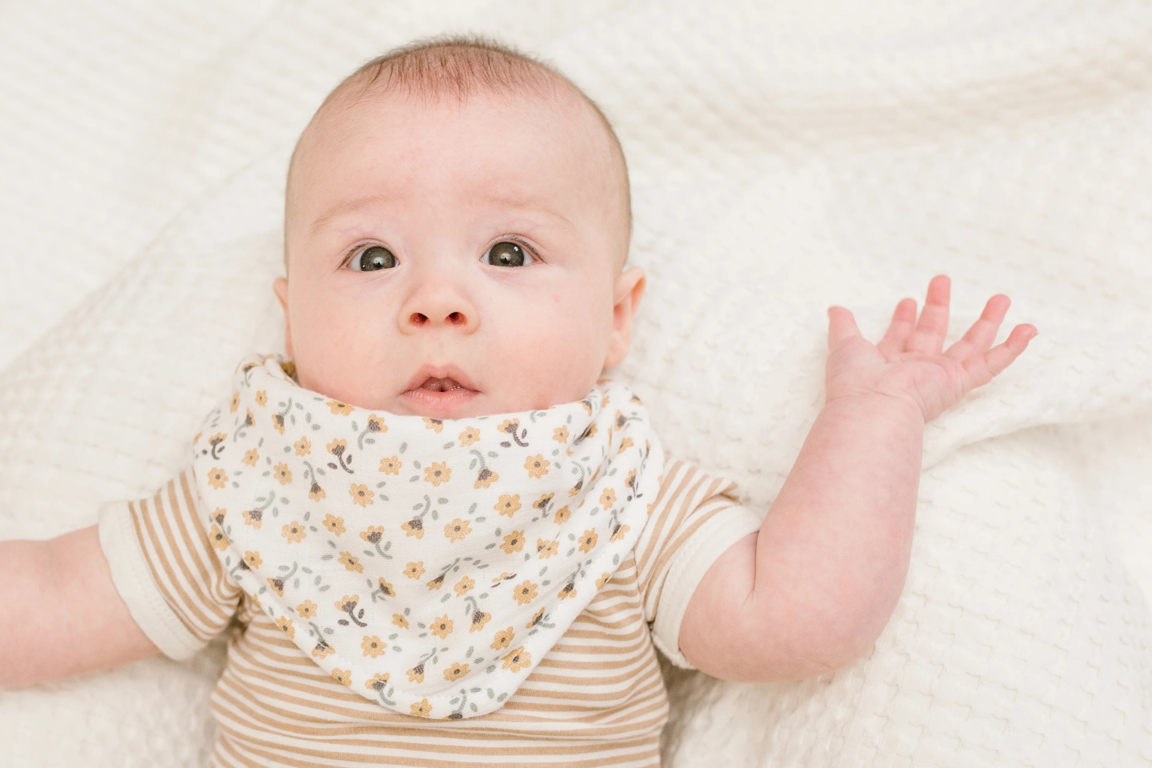 Dragonfly & Vintage Floral - Bandana Baby Bibs