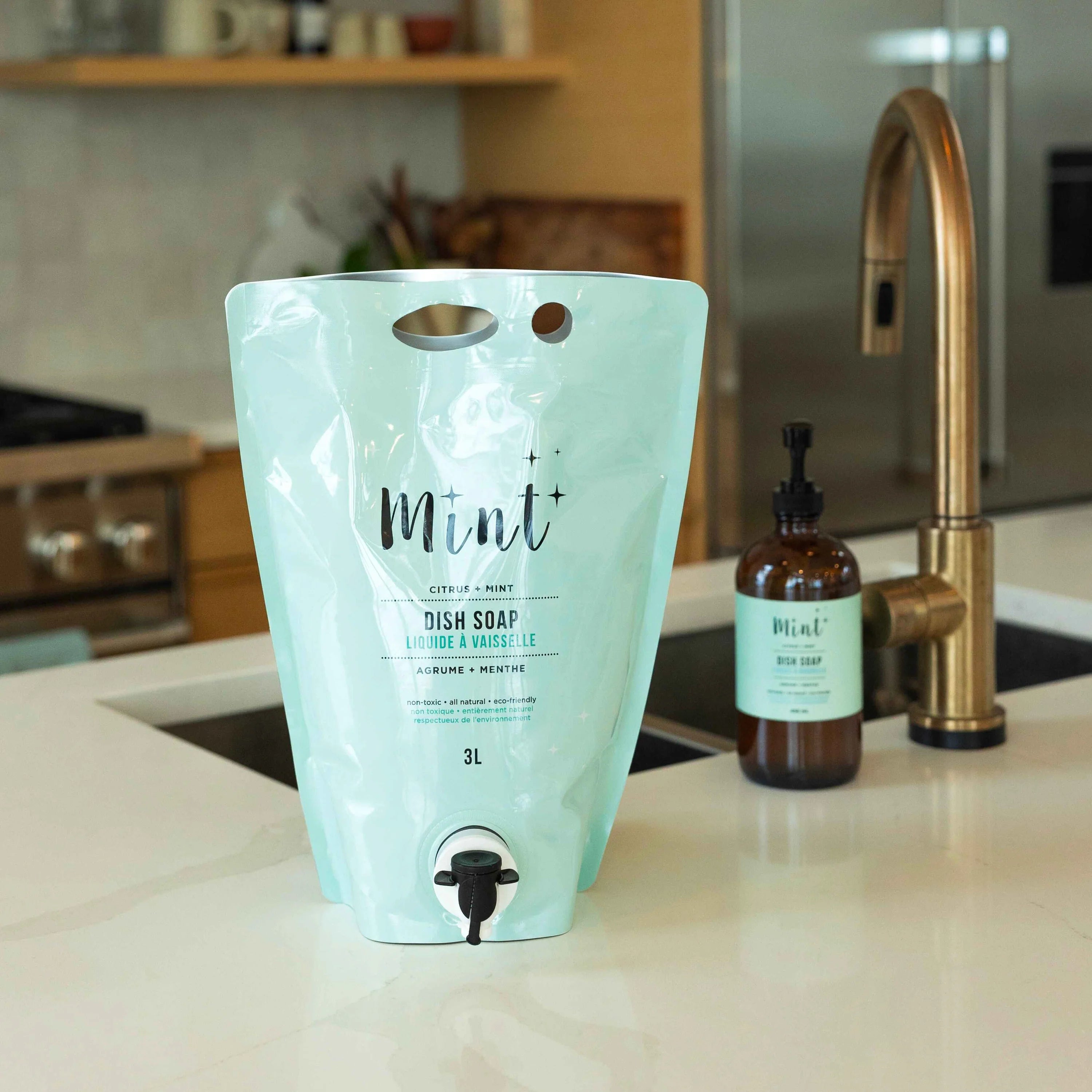 Mint Dish Soap - Party Pouch (Refill)