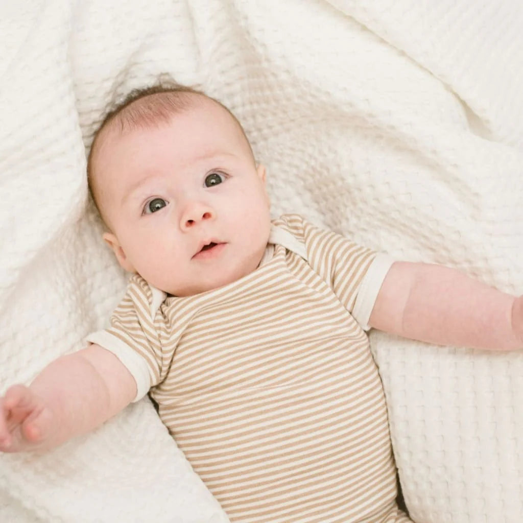 Vanilla - Waffle Blankets