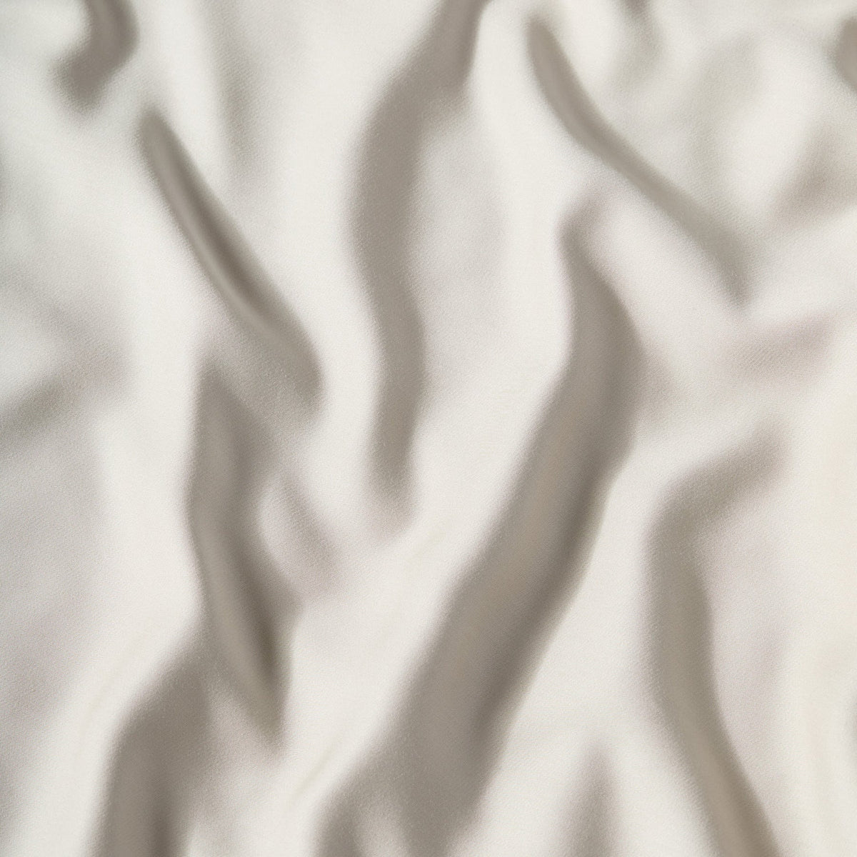 #Color_ Champagne