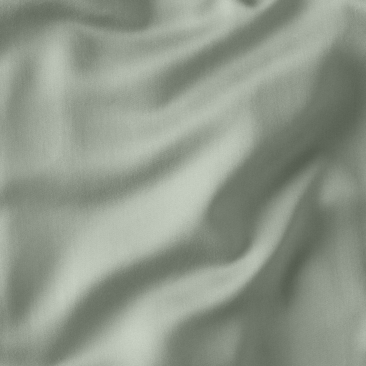 #Color_Sage