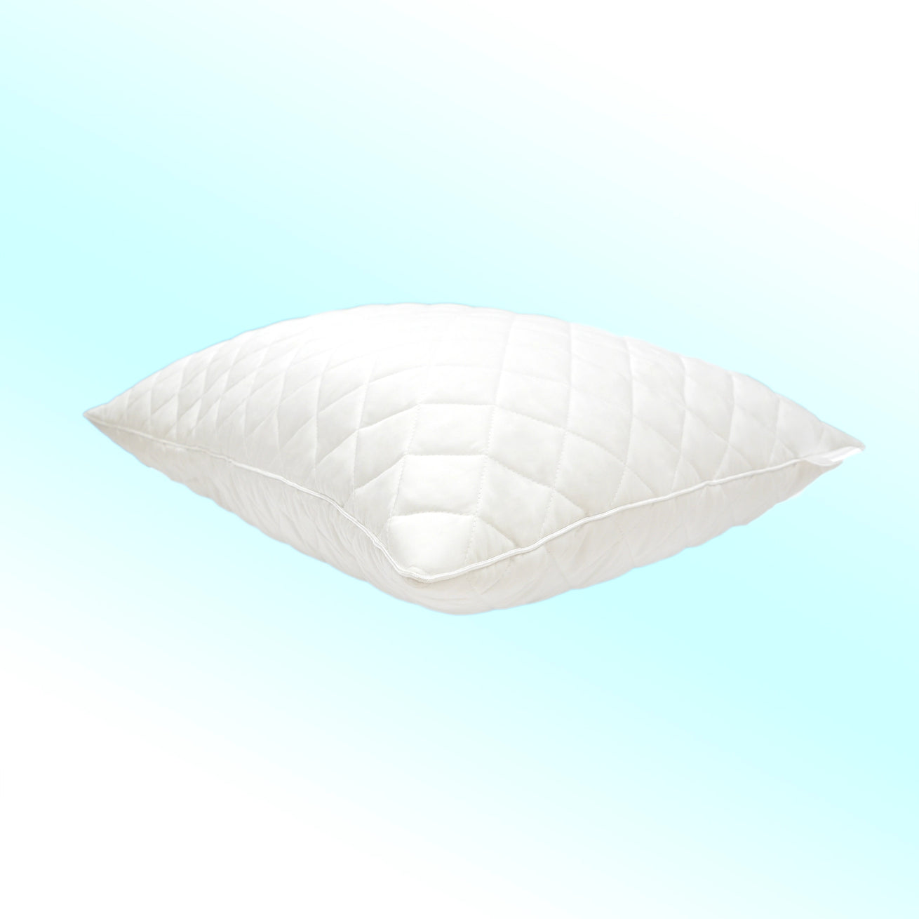 Lyosilk Pillow