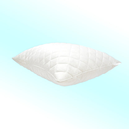 Lyosilk Pillow