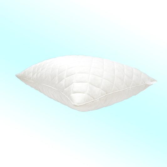 Lyosilk Pillow