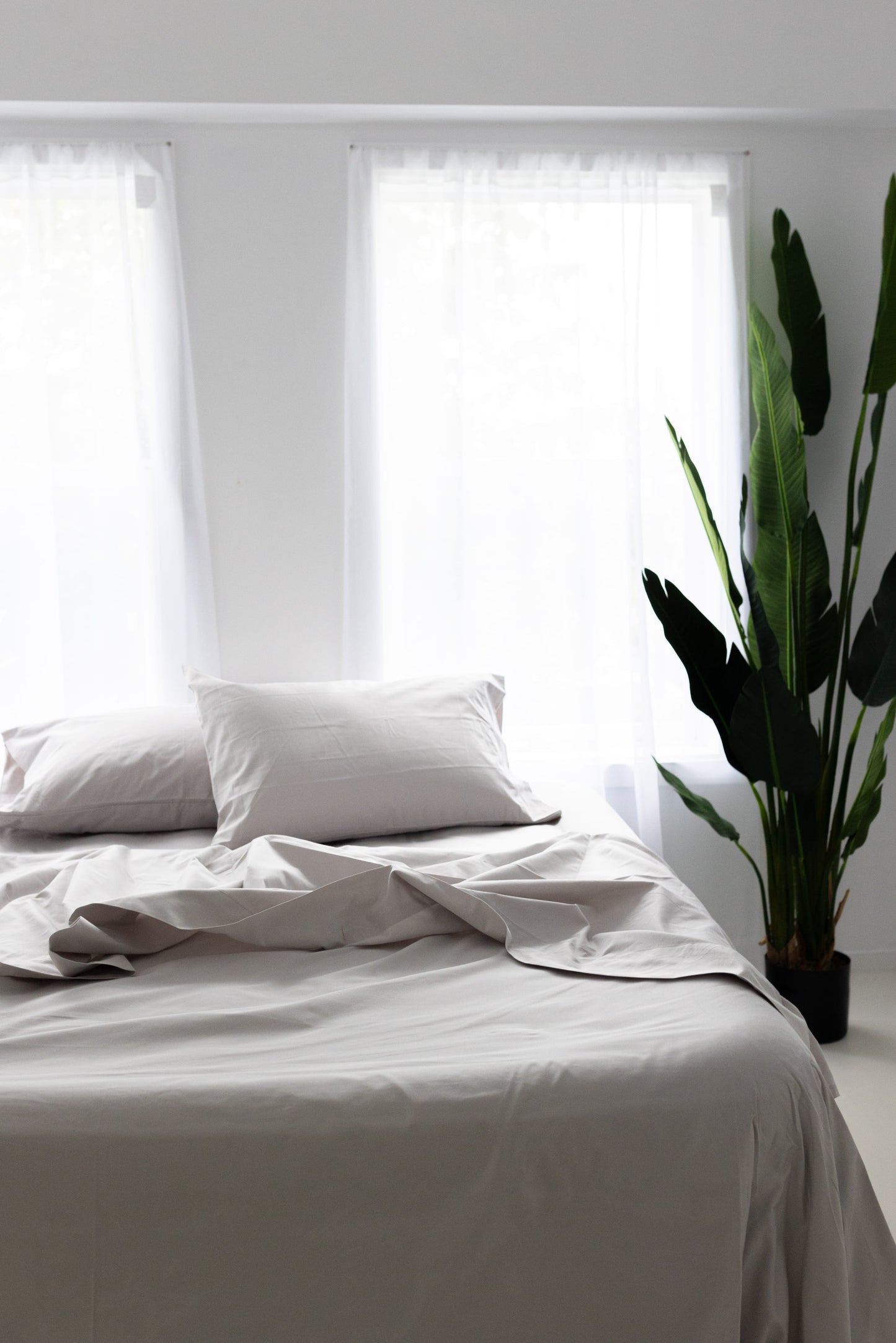 Pillowcases 500TC Cotton – Silver